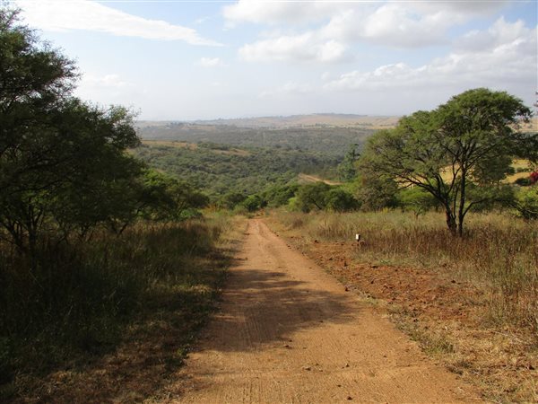 3864 m² Land available in Manderston