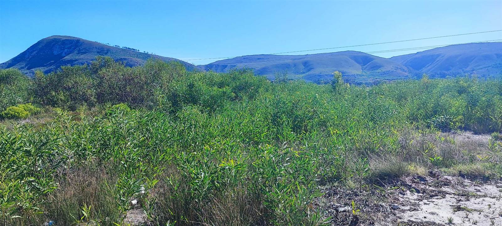 878 m² Land available in Franskraal photo number 4