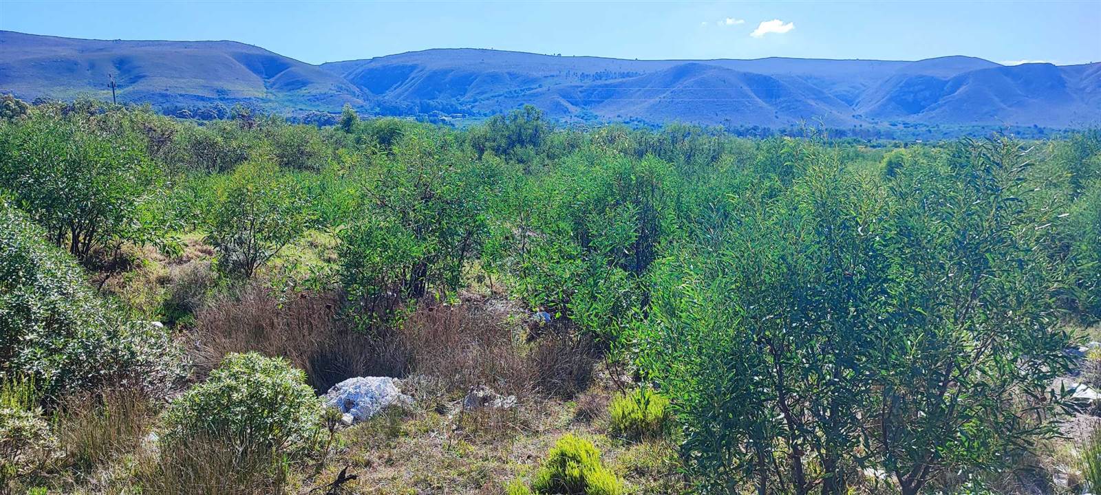878 m² Land available in Franskraal photo number 16