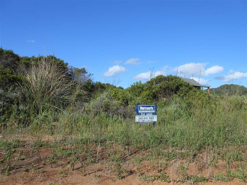 787 m² Land available in Oyster Bay photo number 6