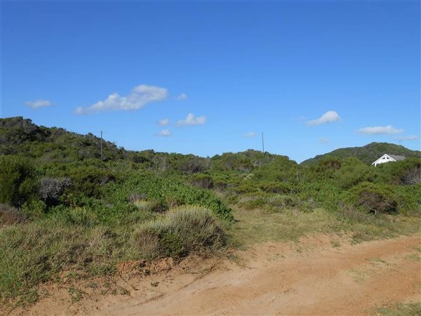 787 m² Land available in Oyster Bay