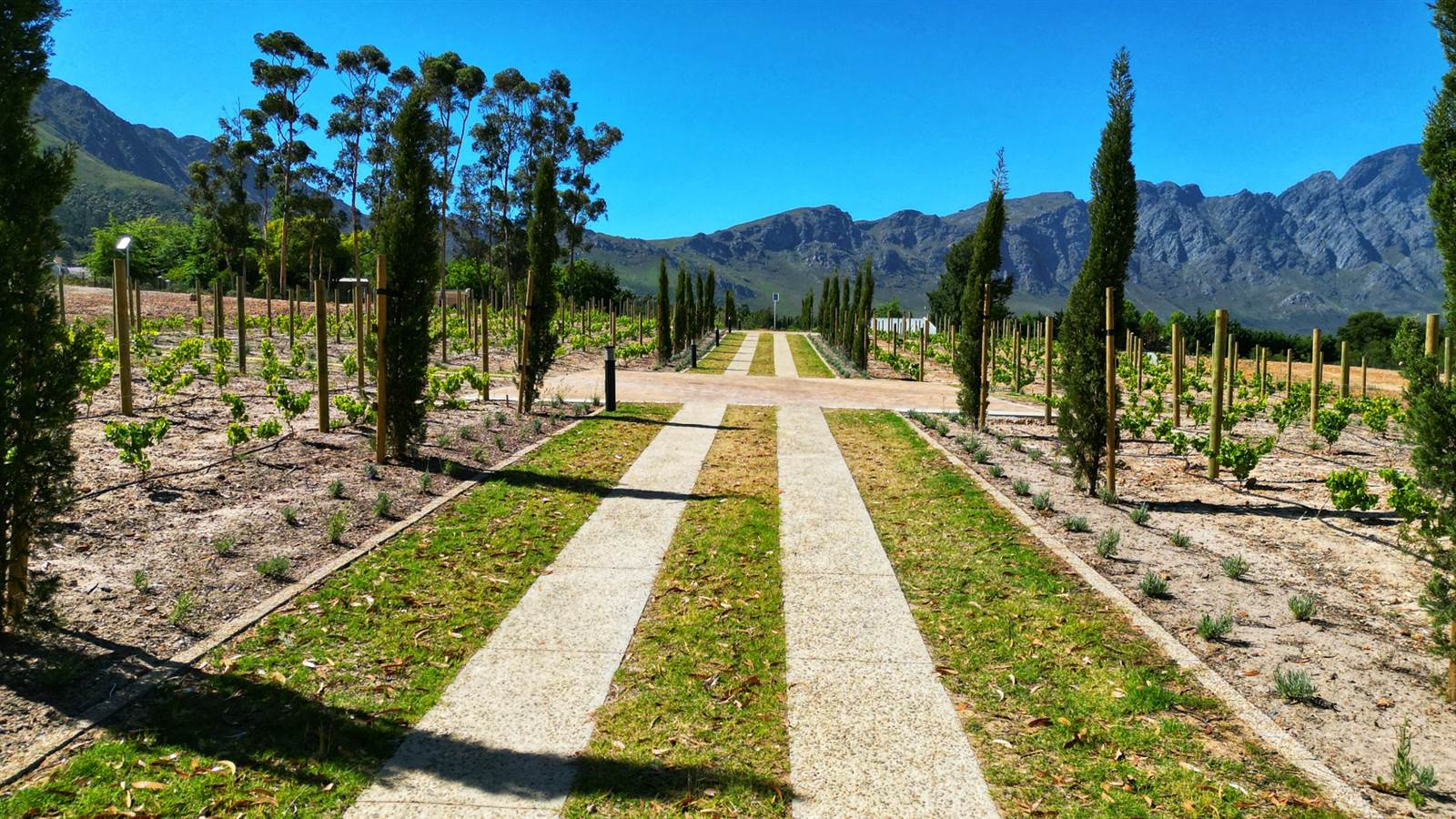 3213 m² Land available in Franschhoek photo number 13