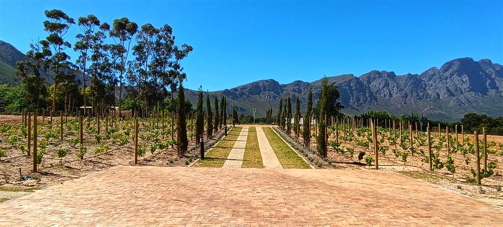 3213 m² Land available in Franschhoek photo number 5