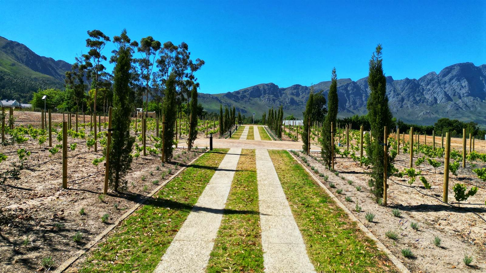 3213 m² Land available in Franschhoek photo number 6