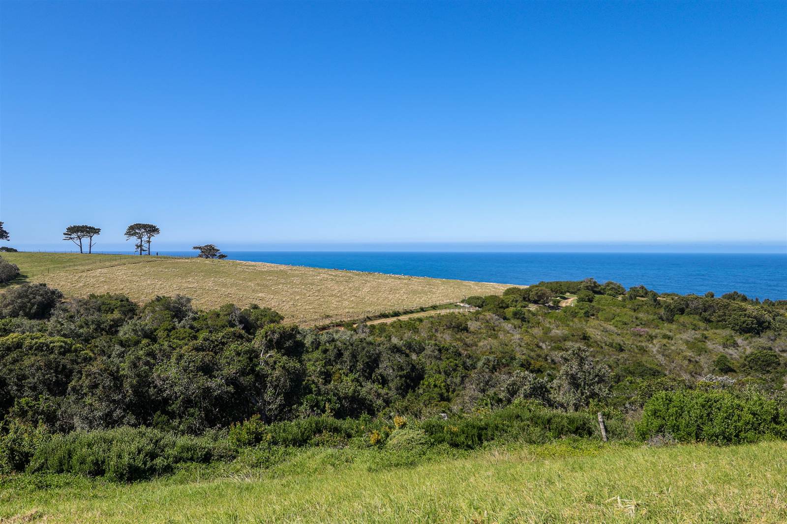 816 m² Land available in Le Grand Golf Estate photo number 15