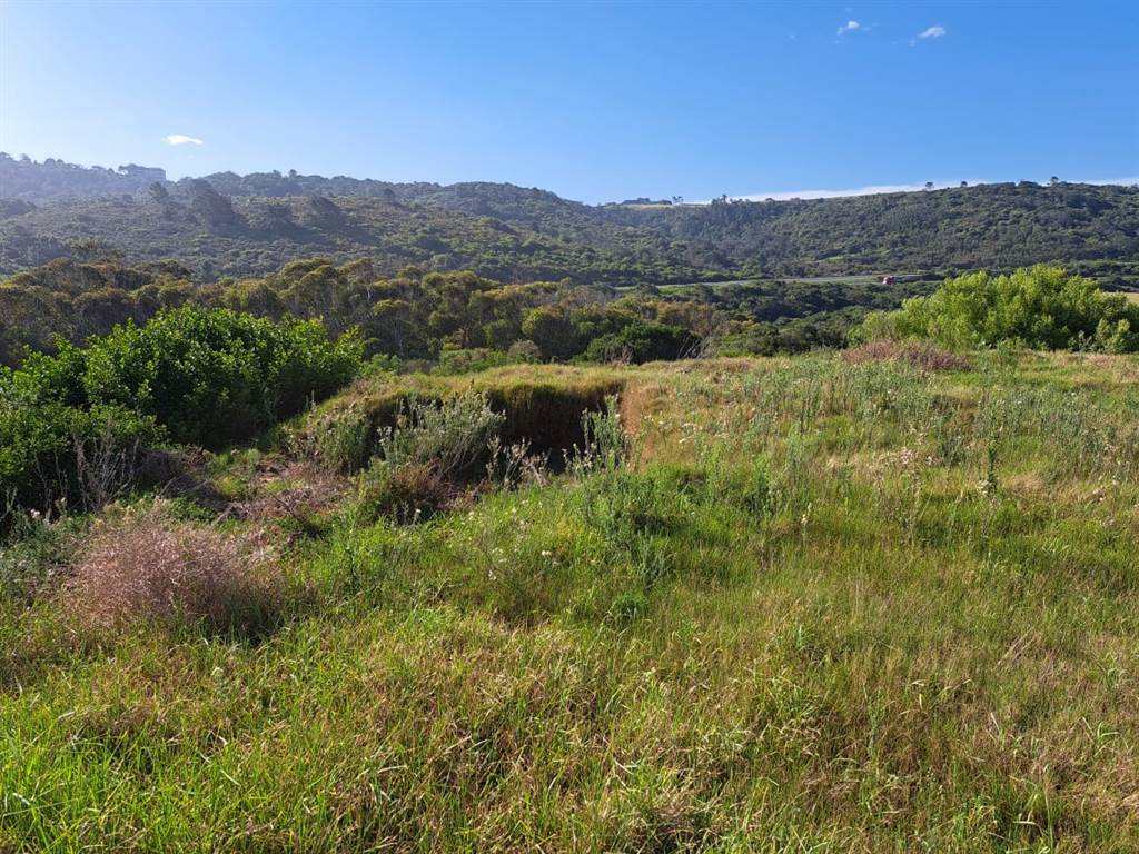 637 m² Land available in Pienaarstrand photo number 6