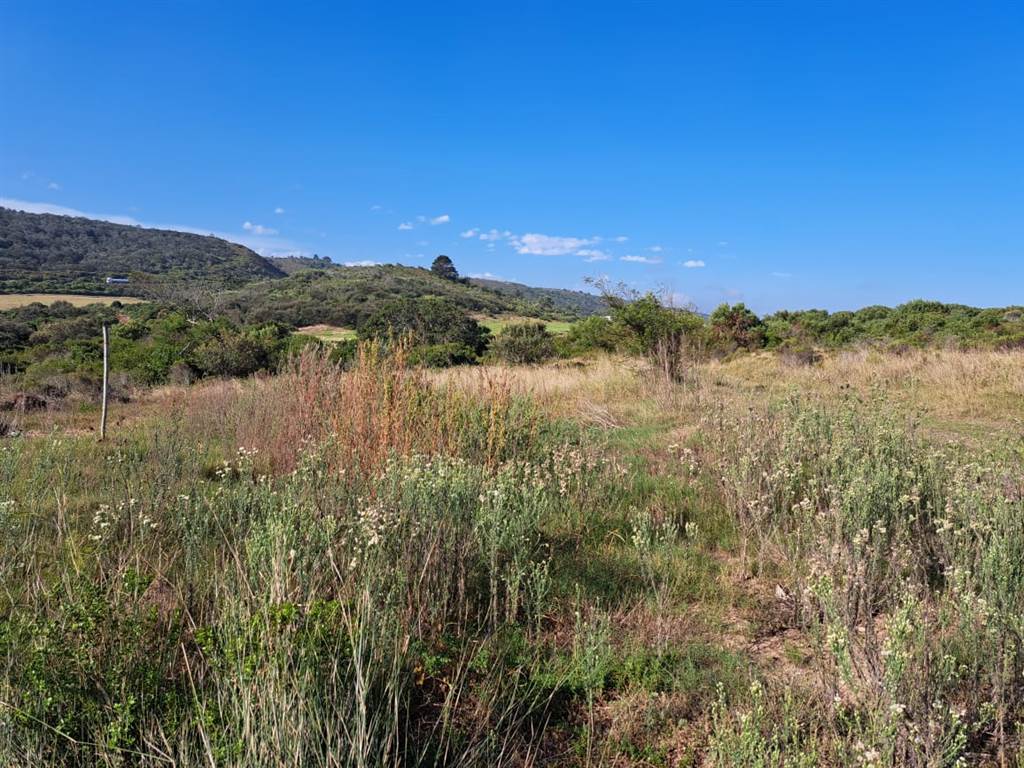 637 m² Land available in Pienaarstrand photo number 2