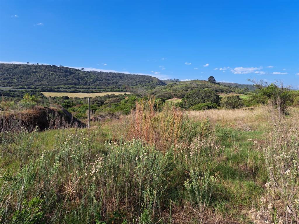 637 m² Land available in Pienaarstrand photo number 4