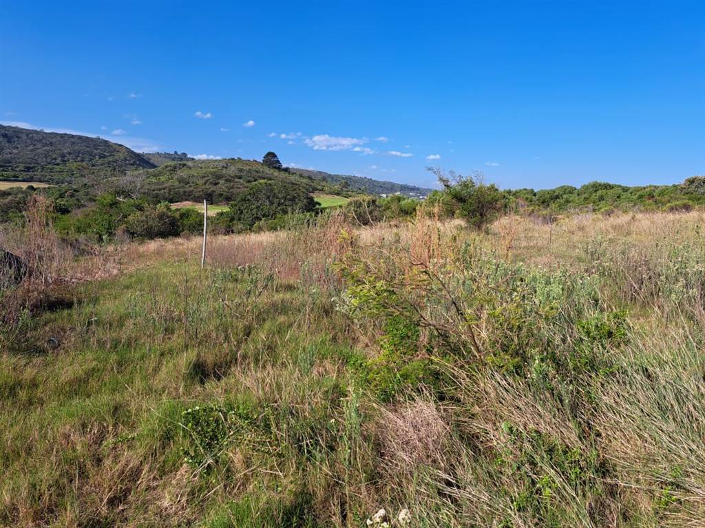 637 m² Land available in Pienaarstrand photo number 5