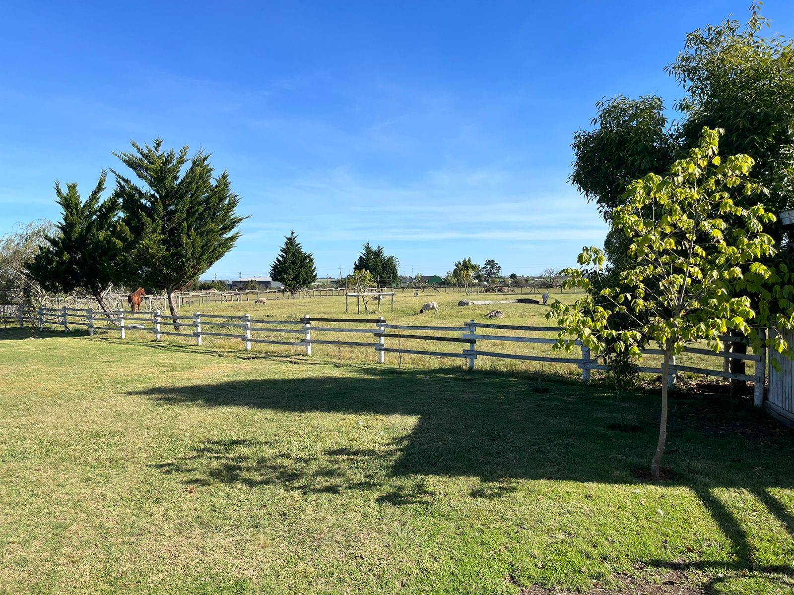 1.3 ha Smallholding in Hoekwil photo number 3