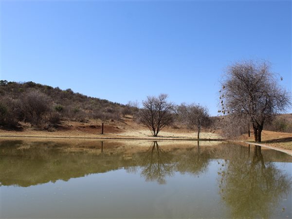 90 ha Farm in Potchefstroom Rural