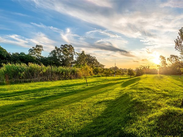 5 007 m² Land
