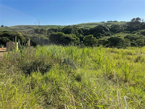 1115 m² Land available in Sheffield Beach