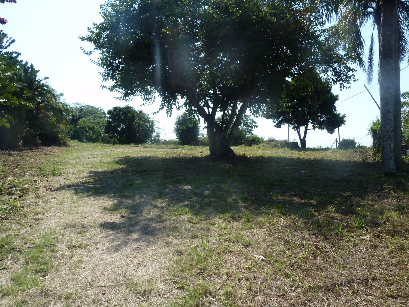 1636 m² Land available in Drummond photo number 2