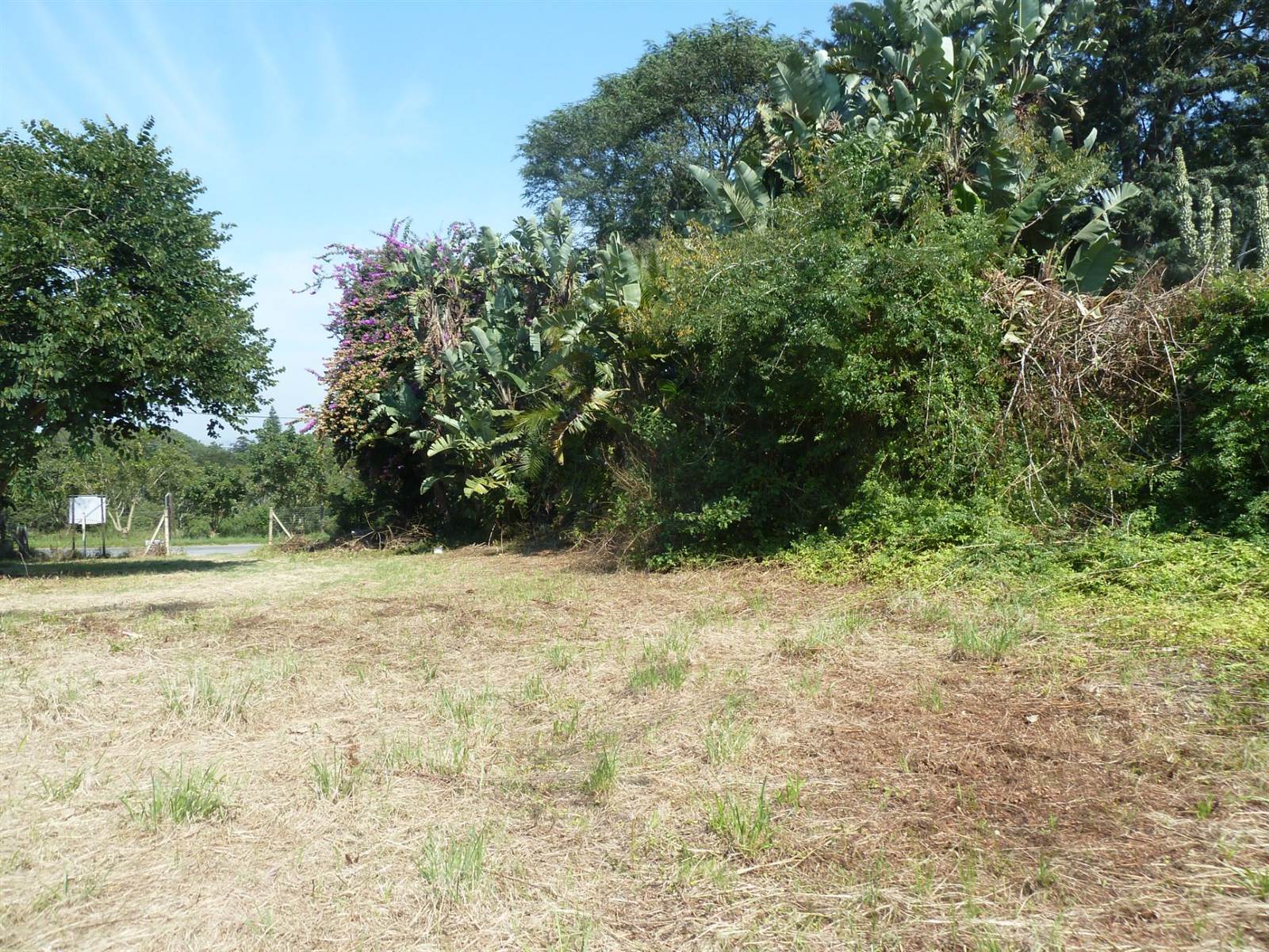 1636 m² Land available in Drummond photo number 4