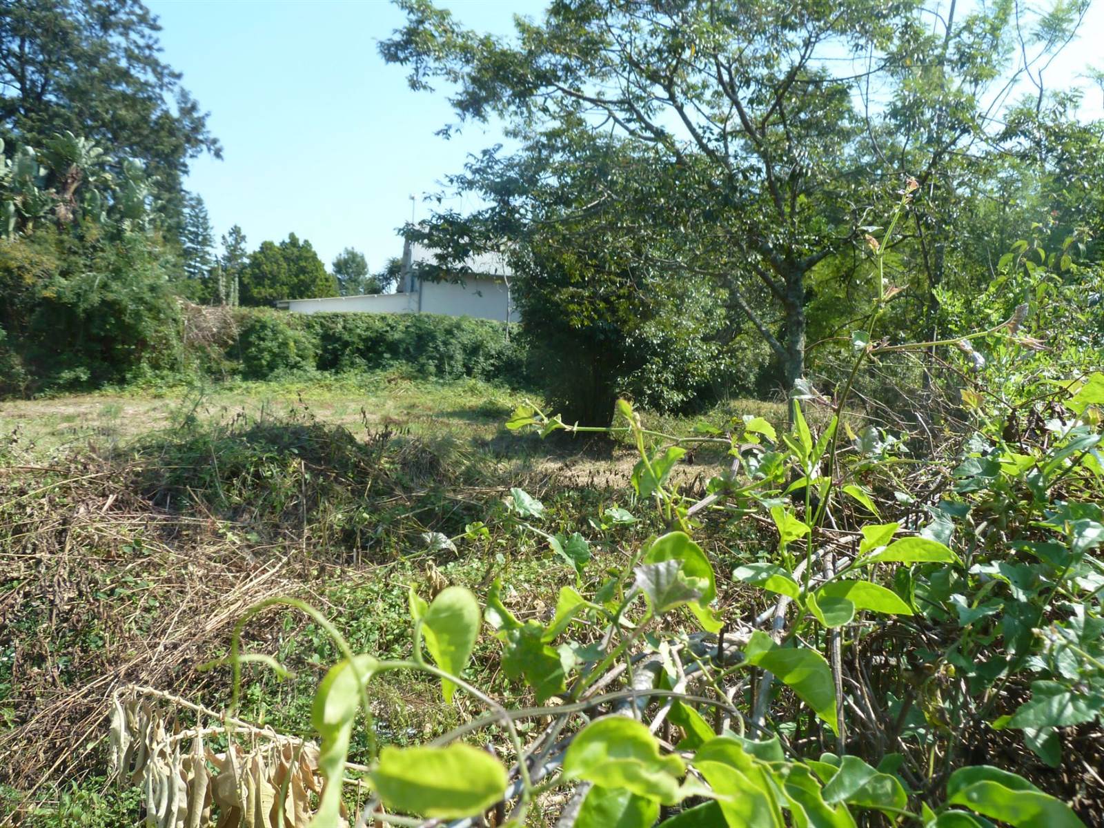 1636 m² Land available in Drummond photo number 5