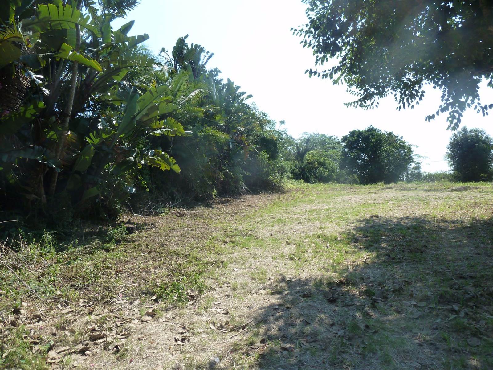 1636 m² Land available in Drummond photo number 8