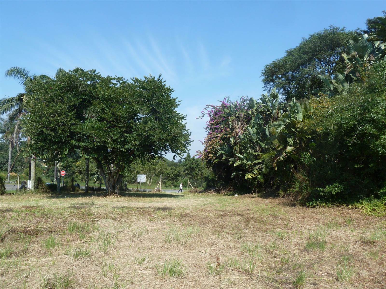 1636 m² Land available in Drummond photo number 3