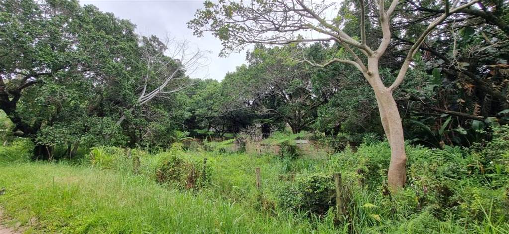 2885 m² Land available in Palm Beach photo number 2