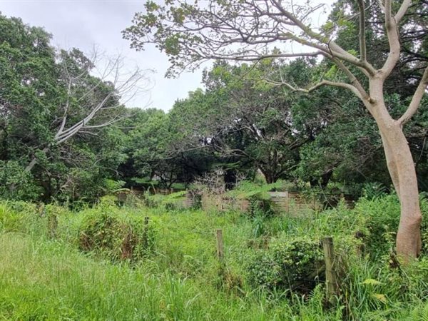 2885 m² Land available in Palm Beach