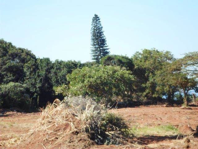 14.2 ha Land available in Desainagar photo number 8