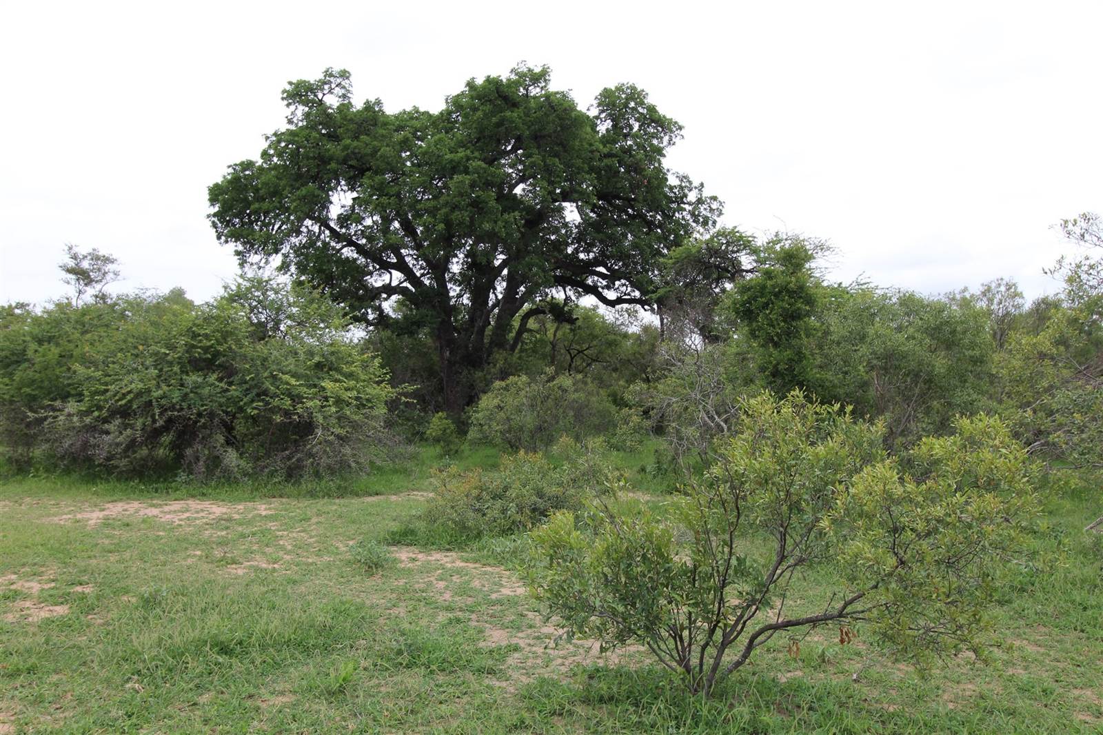 9756 m² Land available in Moditlo Nature Reserve photo number 6