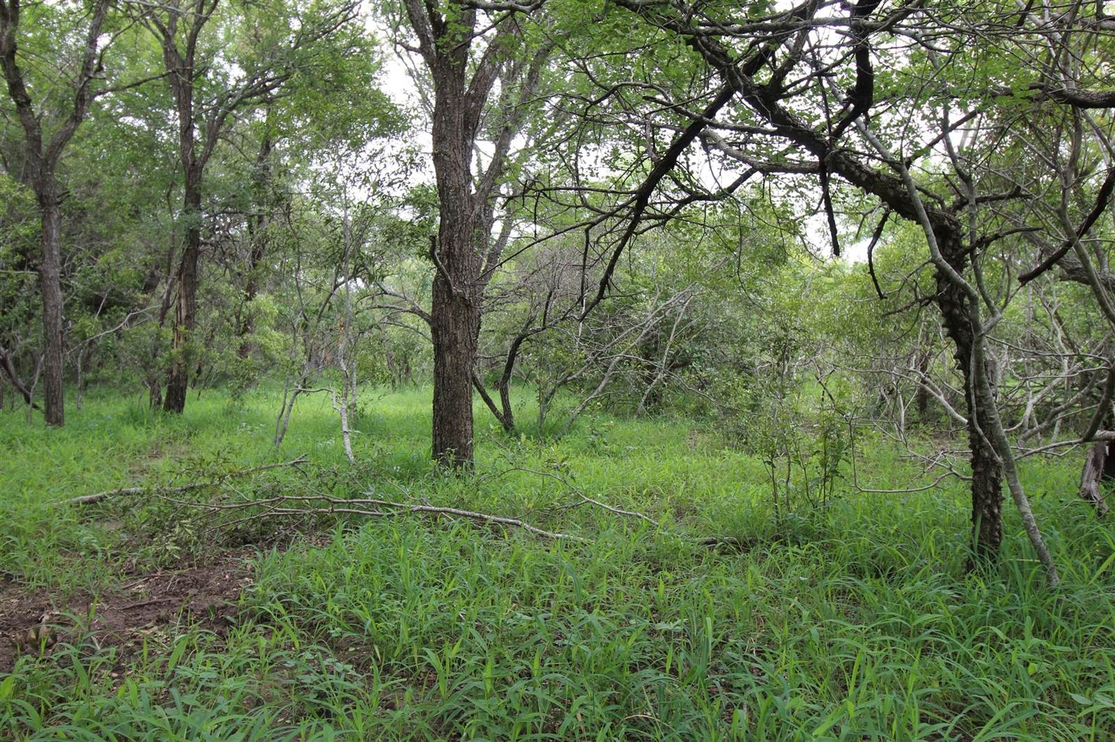9756 m² Land available in Moditlo Nature Reserve photo number 10