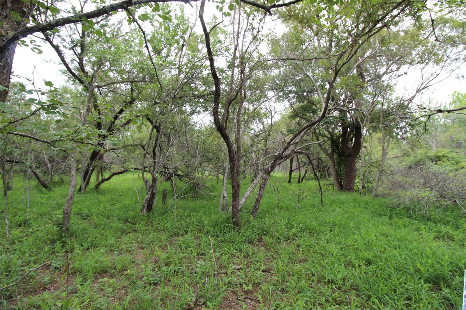 9756 m² Land available in Moditlo Nature Reserve photo number 12