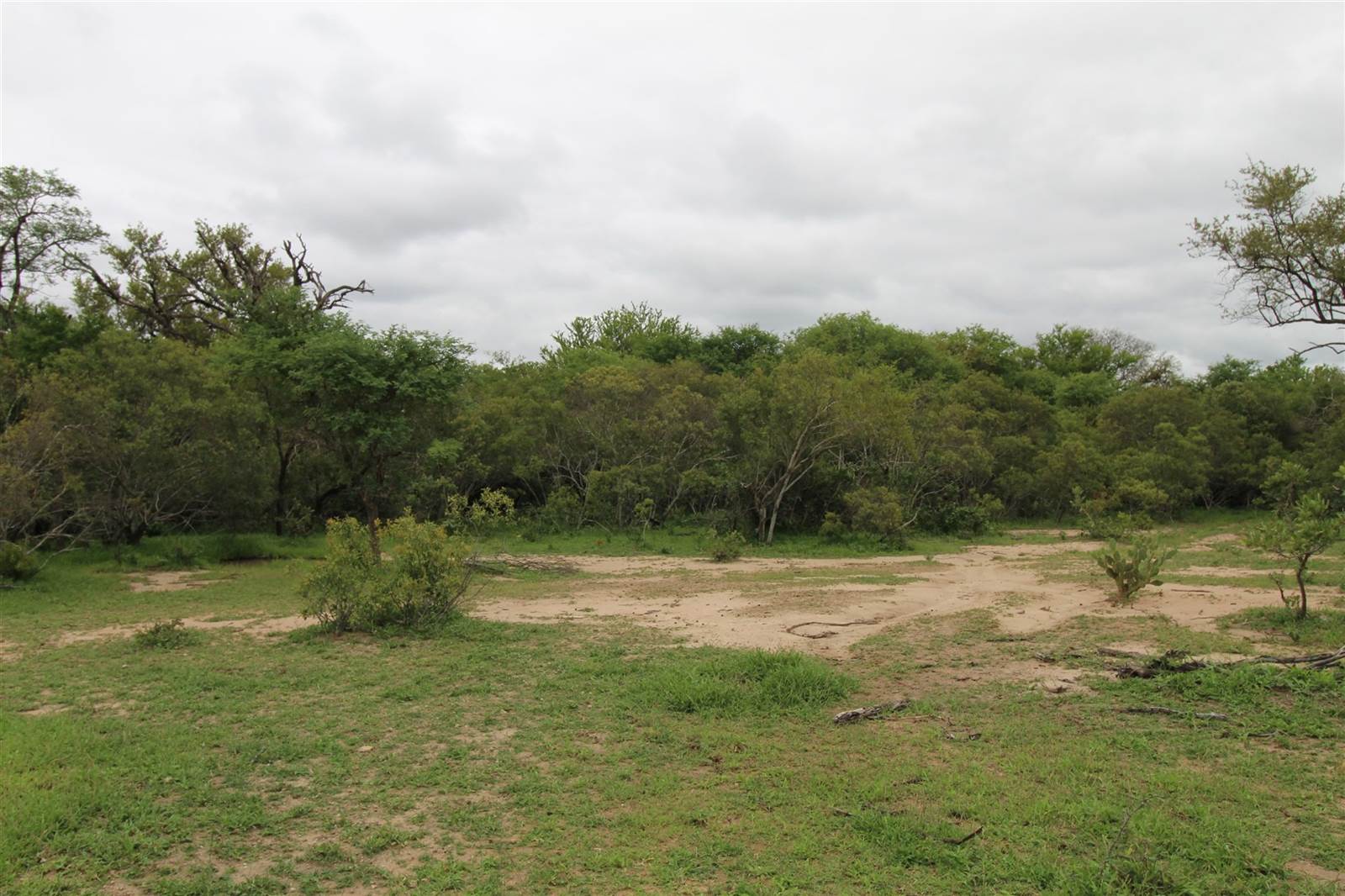 9756 m² Land available in Moditlo Nature Reserve photo number 11