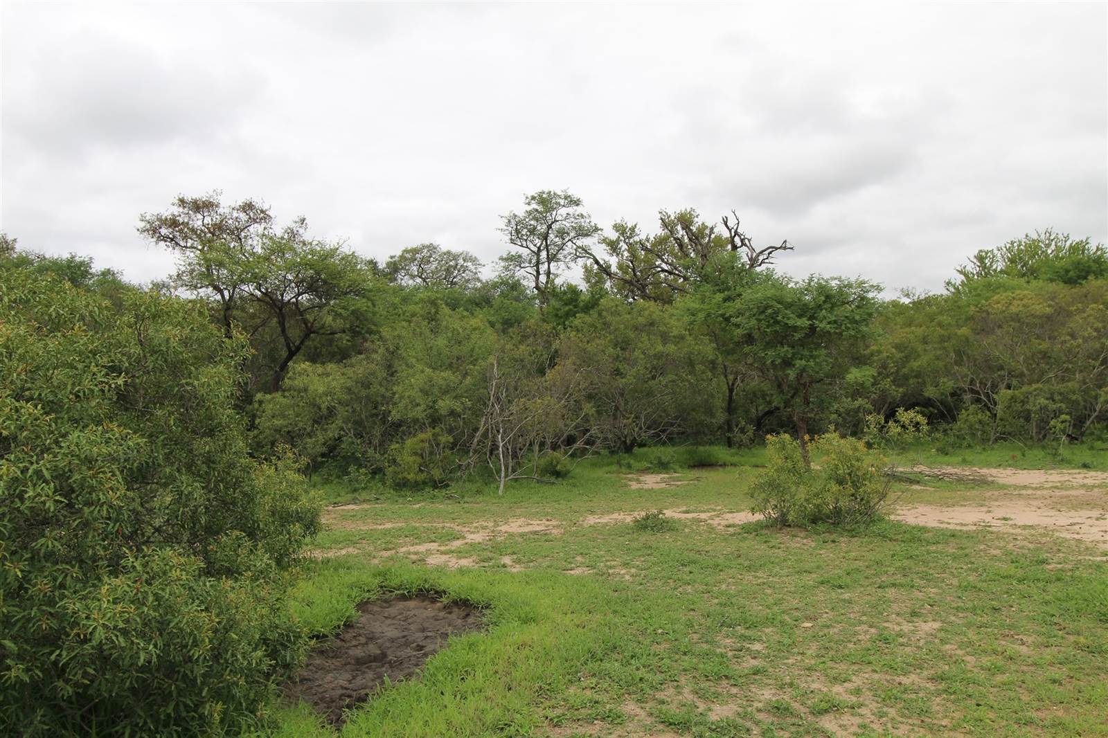 9756 m² Land available in Moditlo Nature Reserve photo number 14