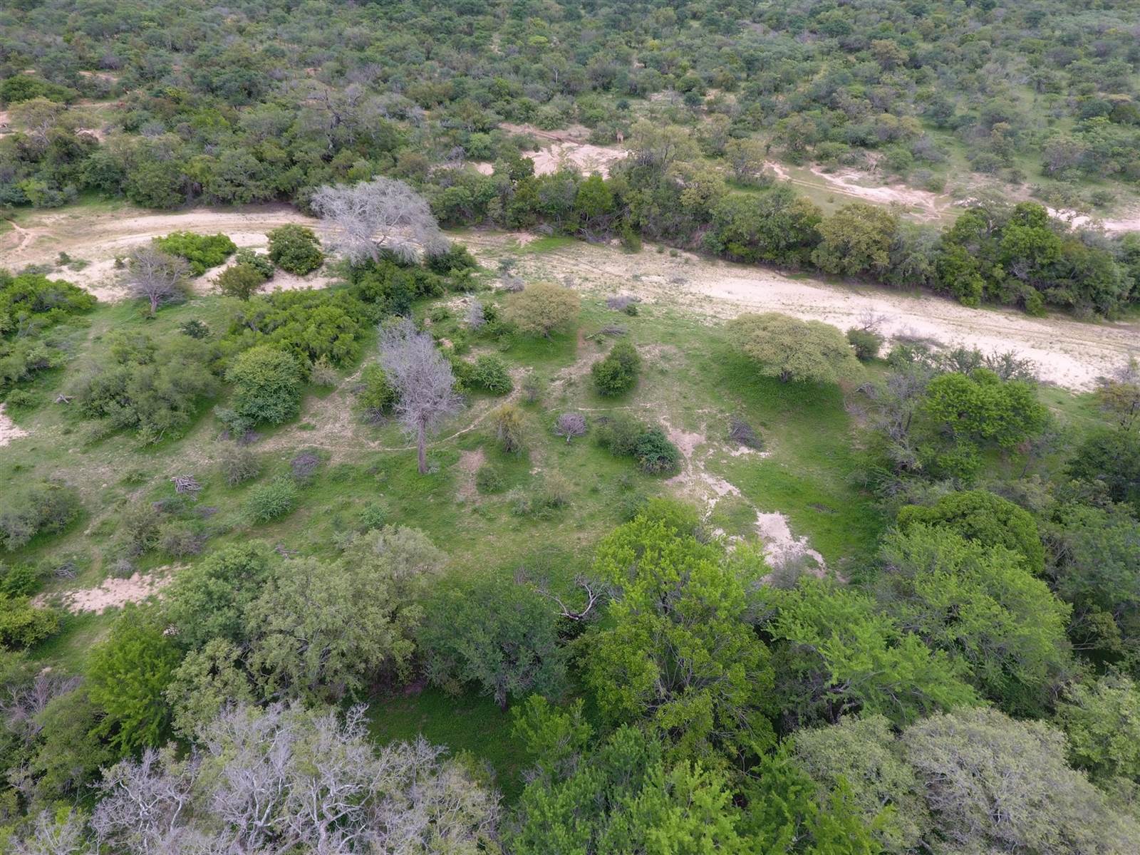 9756 m² Land available in Moditlo Nature Reserve photo number 4
