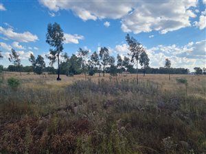 2.4 ha Land available in Valley Settlements AH