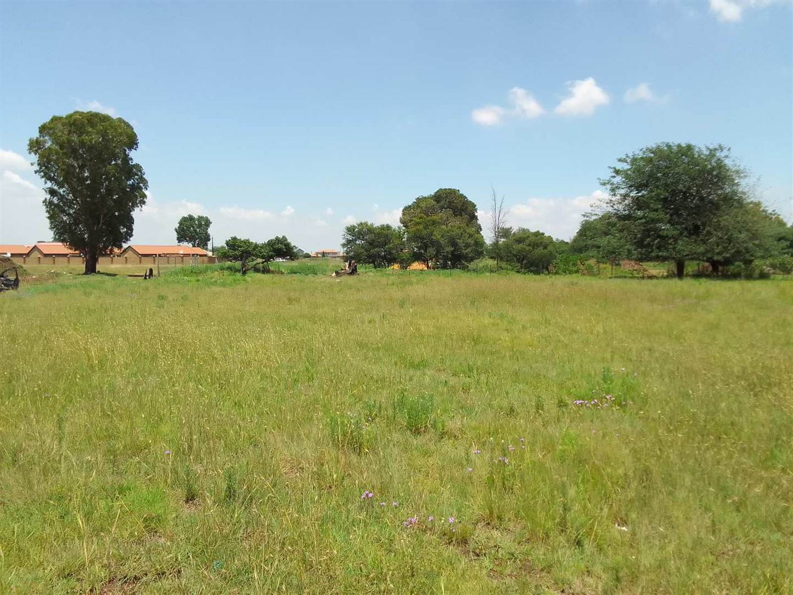1000 m² Land available in Riversdale photo number 1