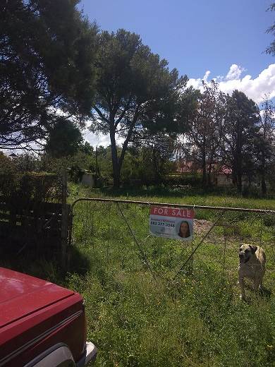 743 m² Land available in Marquard photo number 2