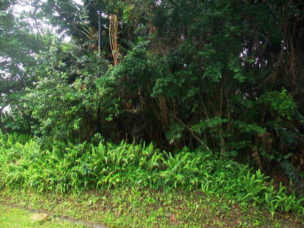 1866 m² Land available in Palm Beach photo number 2