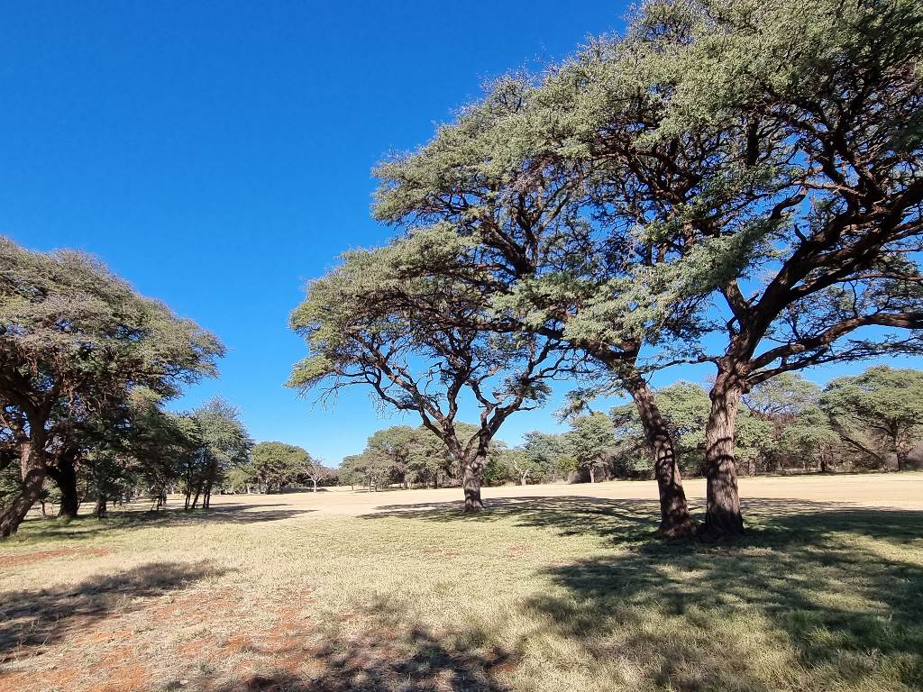 1130 m² Land available in Kathu photo number 5