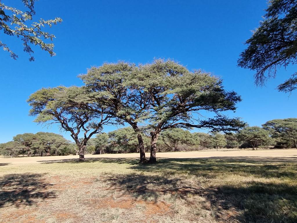 1130 m² Land available in Kathu photo number 6