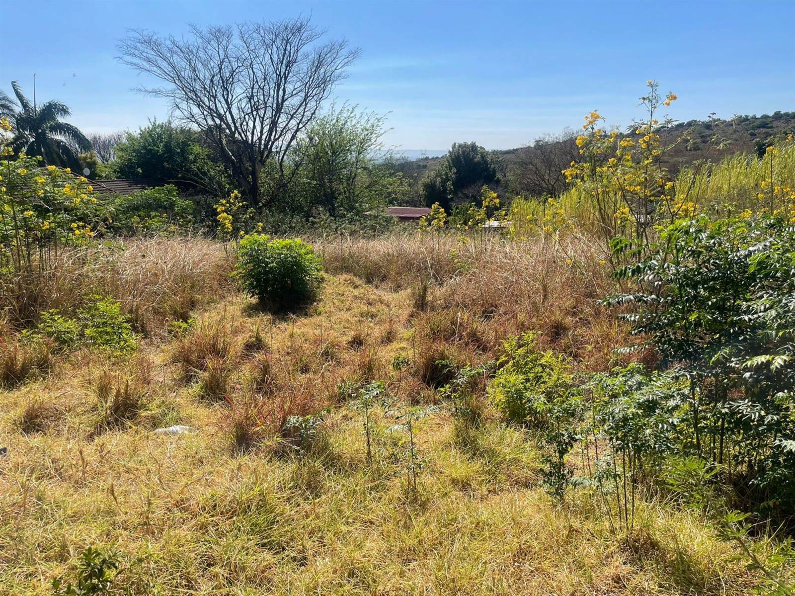 1925 m² Land available in Signal Hill photo number 4