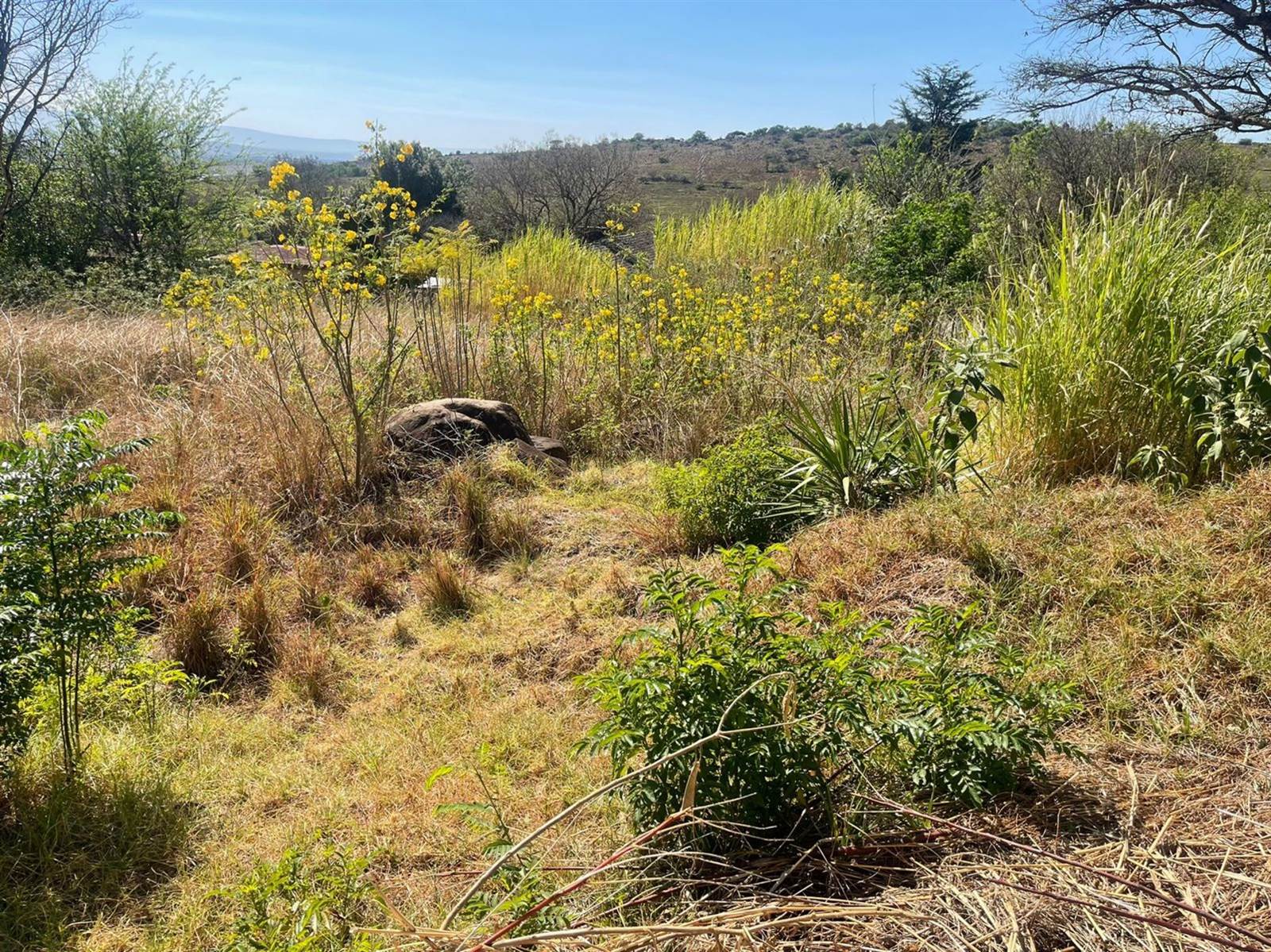 1925 m² Land available in Signal Hill photo number 6