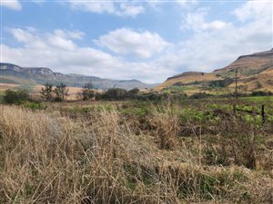 247 ha Land available in Kamberg