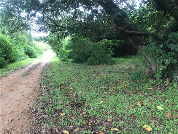 1 058 m² Land 1 058 m² Land