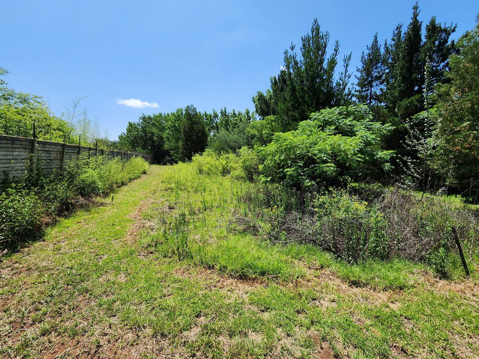 2.5 ha Land available in Glen Austin photo number 10