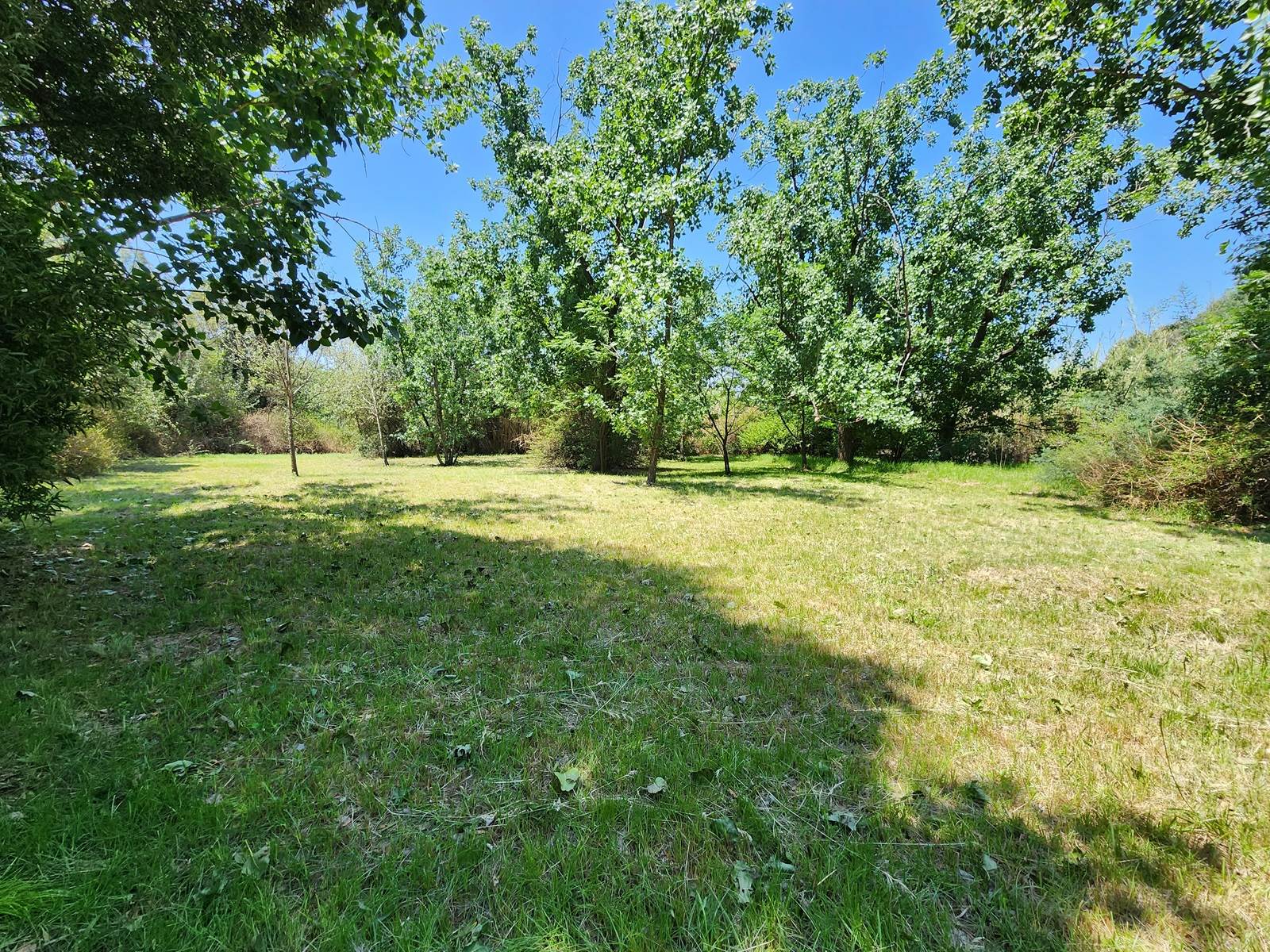 2.5 ha Land available in Glen Austin photo number 11