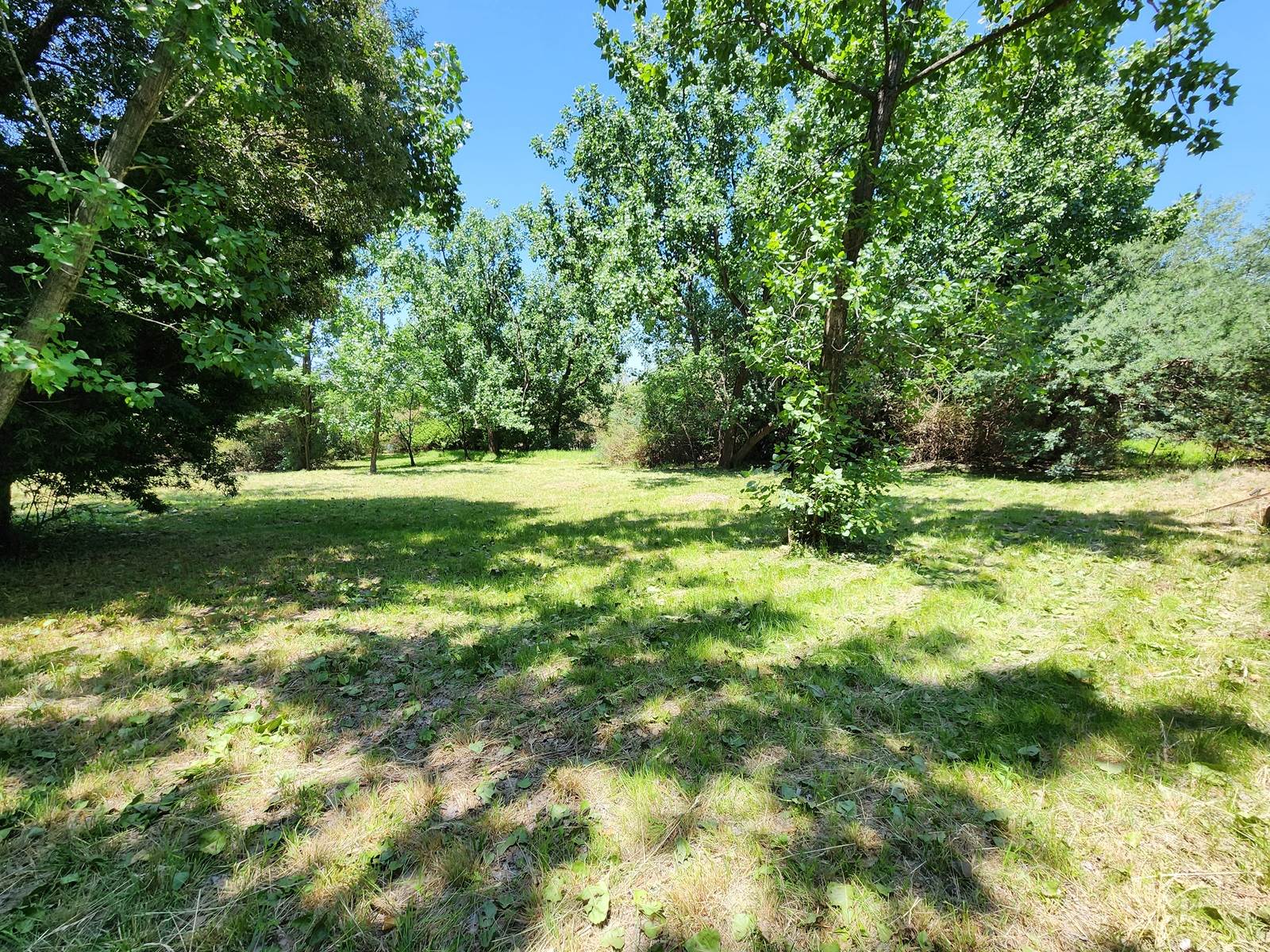 2.5 ha Land available in Glen Austin photo number 12