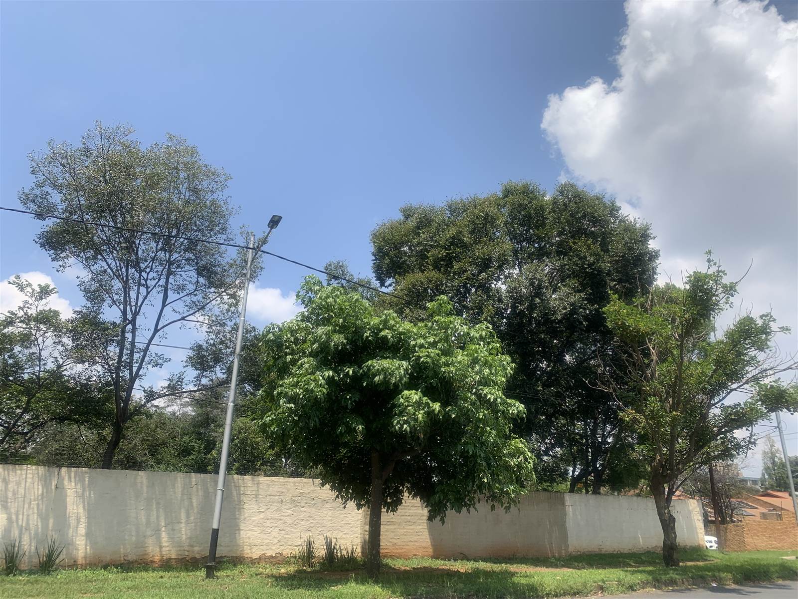 3652 m² Land available in Illovo photo number 6