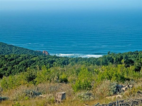 5846 m² Land available in Pezula Private Estate