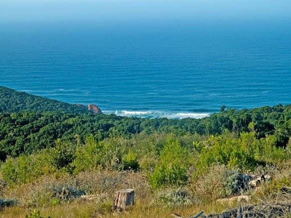 5846 m² Land available in Pezula Private Estate photo number 1