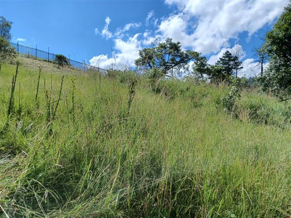 2100 m² Land available in Montrose
