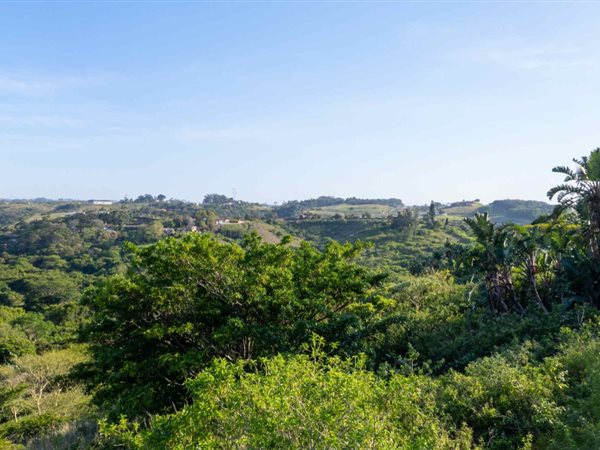 1024 m² Land available in Shelly Beach