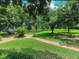 1 Bed Apartment in Benmore Gardens